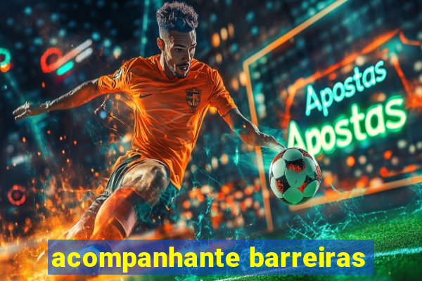 acompanhante barreiras